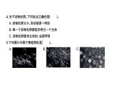 科教版四年级下册科学 第6课时动物的卵    习题课件（无答案）