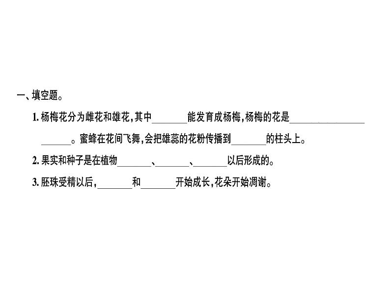 科教版四年级下册科学 第3课时花、果实和种子 习题课件01