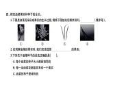 科教版四年级下册科学 第3课时花、果实和种子 习题课件