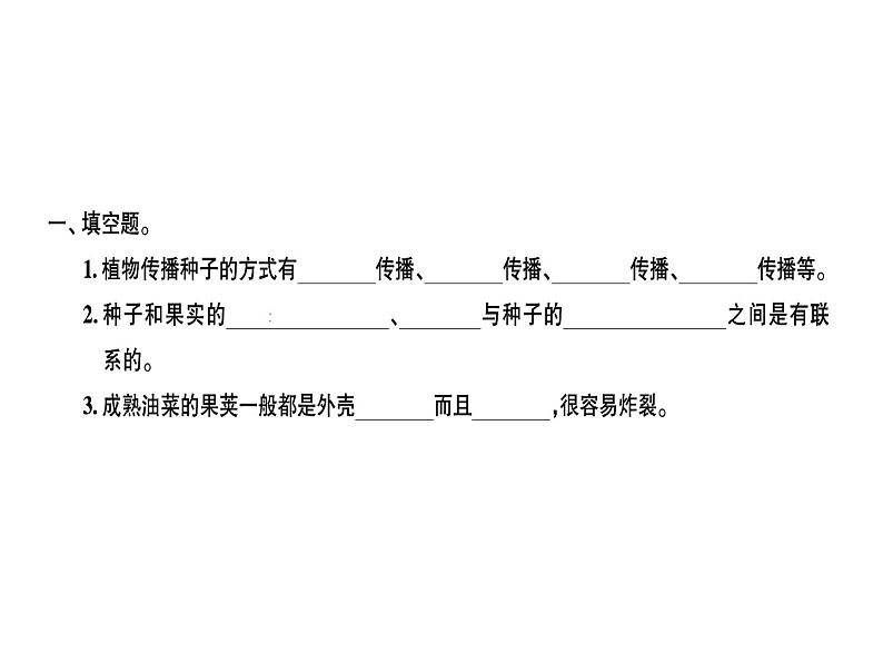 科教版四年级下册科学 第4课时把种子散播到远处 习题课件第1页