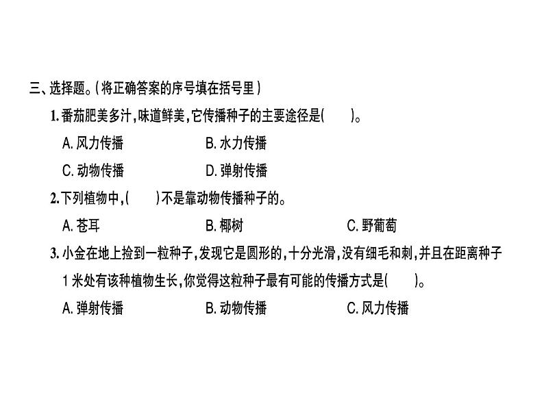 科教版四年级下册科学 第4课时把种子散播到远处 习题课件第3页