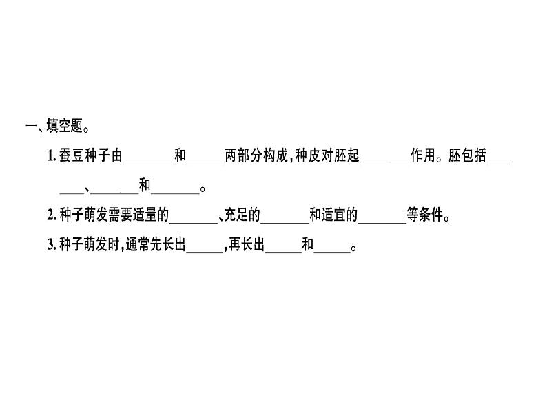 科教版四年级下册科学 第5课时种子的萌发 习题课件01