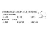 科教版四年级下册科学 第2课时点亮小灯泡 习题课件