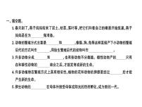 小学科学教科版四年级下册7.动物的繁殖活动习题课件ppt