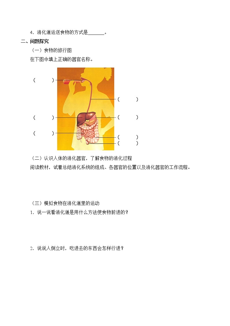 教科版（2017）科学四上 2.8 食物在身体里的旅行 学案（无答案）02