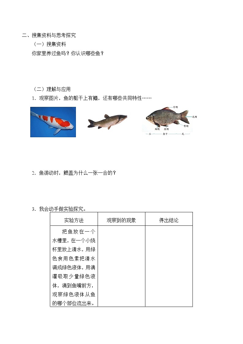 教科版（2017）科学四上 2 鱼 学案（无答案）02