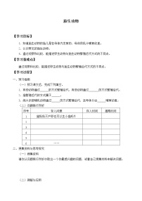 小学科学粤教粤科版 (2017)四年级上册探究技能 分类导学案