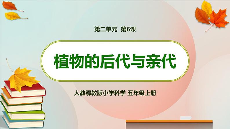 新人教鄂教版五上科学：2.6 植物的后代与亲代 课件PPT+内嵌视频第1页