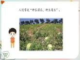 新人教鄂教版五上科学：2.6 植物的后代与亲代 课件PPT+内嵌视频