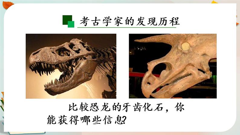 灭绝的远古动物 第二课时 课件PPT第7页