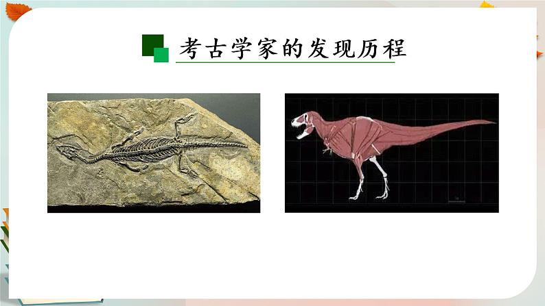 灭绝的远古动物 第二课时 课件PPT第8页