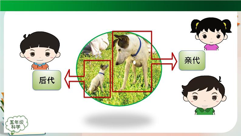 第二单元回顾 PPT课件第4页