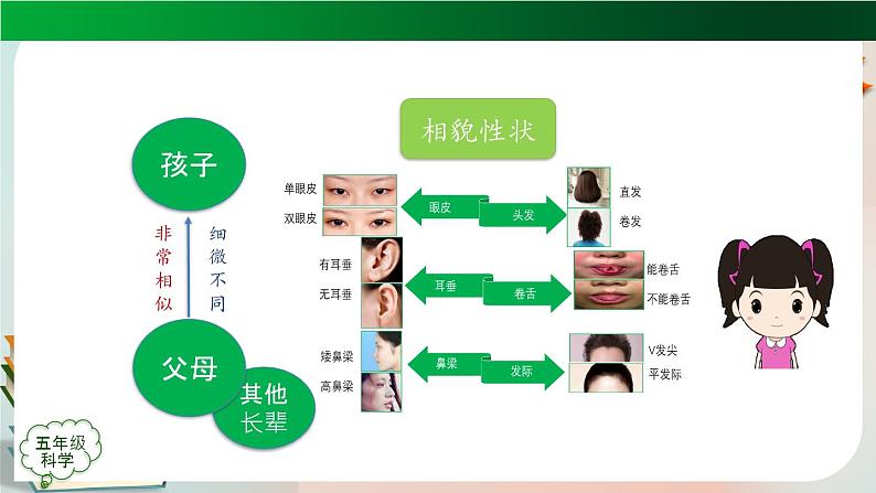 第二单元回顾 PPT课件第8页