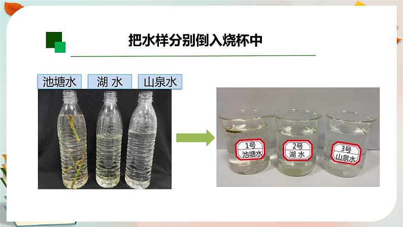 新人教鄂教版五上科学：3.8 水中的微小生物（第2课时）PPT课件+教案+任务单03