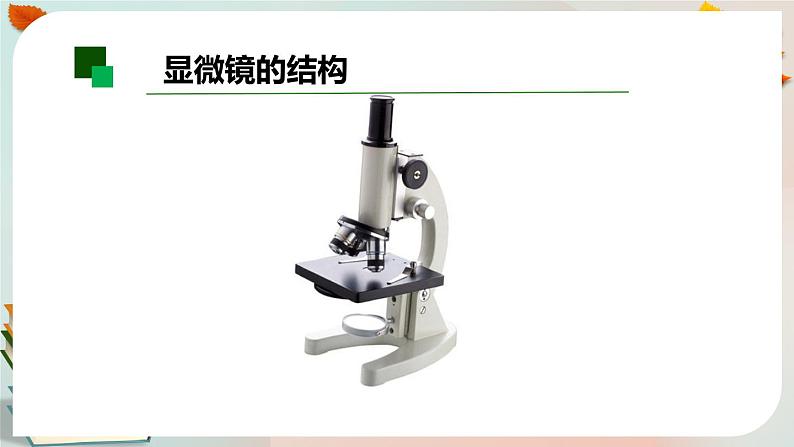 新人教鄂教版五上科学：3.8 水中的微小生物（第2课时）PPT课件+教案+任务单05