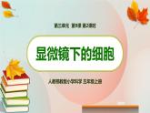 新人教鄂教版五上科学：3.9 显微镜下的细胞（第2课时）PPT课件+教案+练习+任务单