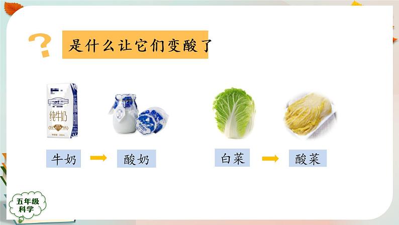 新人教鄂教版五上科学：3.10 多种多样的微生物 课件PPT+内嵌视频02