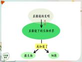 新人教鄂教版五上科学：第三单元 显微镜下的生物世界 回顾课件PPT+内嵌视频