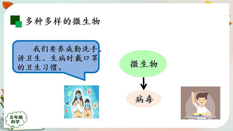 新人教鄂教版五上科学：第三单元 显微镜下的生物世界 回顾课件PPT+内嵌视频07