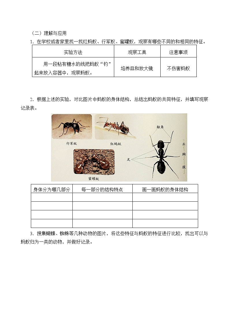 青岛版（六三制2017）科学四上 1 蚂蚁 学案（无答案）02
