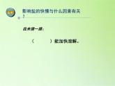 蘇教版（2017）三年級科學(xué)上冊 3.11把鹽放到水里 課件
