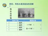 蘇教版（2017）三年級科學(xué)上冊 3.11把鹽放到水里 課件