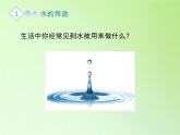 苏教版（2017）三年级科学上册 4.15珍惜水资源 课件