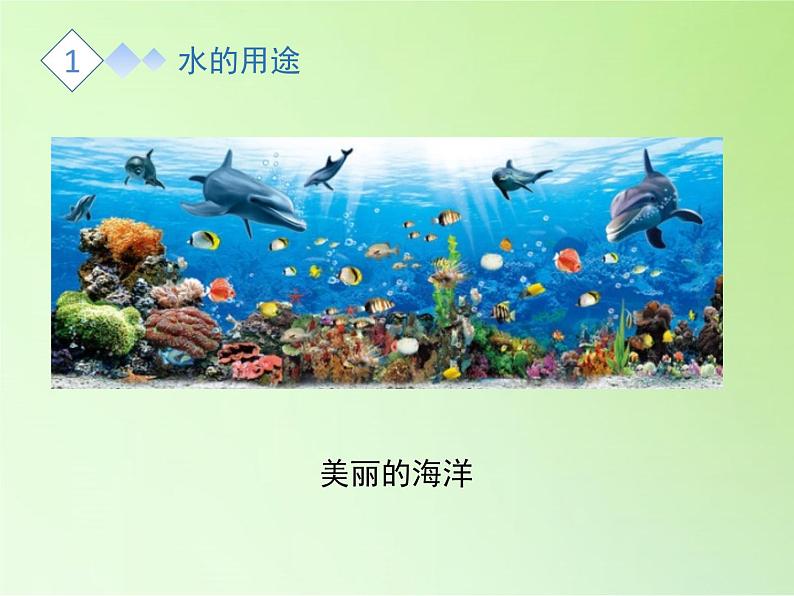 苏教版（2017）三年级科学上册 4.15珍惜水资源 课件第7页