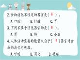 大象版 (2017)  科學(xué)四年級(jí)上冊(cè) 5.1一次神奇的旅行  練習(xí)題課件（含答案）
