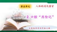小学科学大象版 (2017)四年级上册2 口腔“历险记”示范课课件ppt