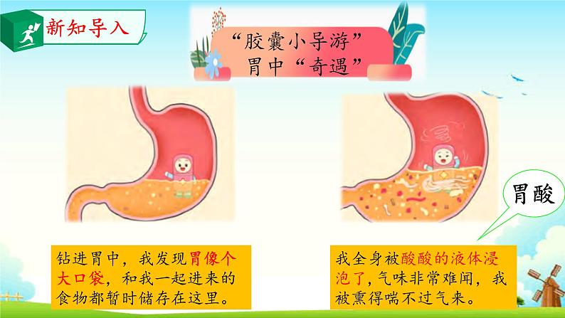 大象版 (2017)  科学四年级上册 5.3胃中“奇遇记” 课件（含视频）03