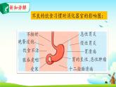 大象版 (2017)  科学四年级上册 5.5保护消化器官 课件