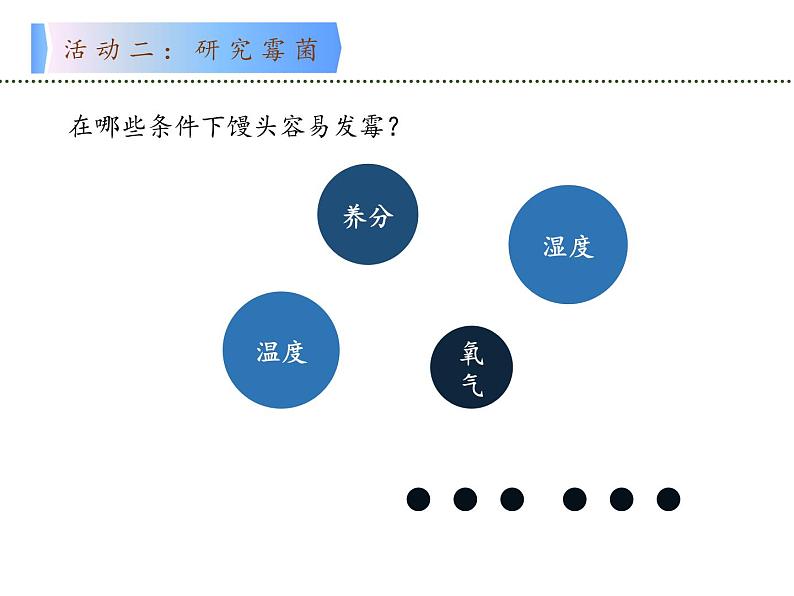 苏教版 六年级科学上册 1.3 馒头发霉了  教学课件06