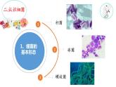 苏教版 六年级科学上册 1.2 做酸奶  教学课件