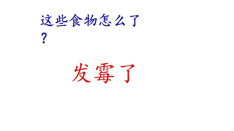 苏教版 六年级科学上册 1.3 馒头发霉了  教学课件04