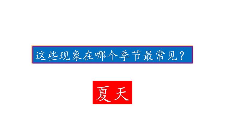 苏教版 六年级科学上册 1.3 馒头发霉了  教学课件07