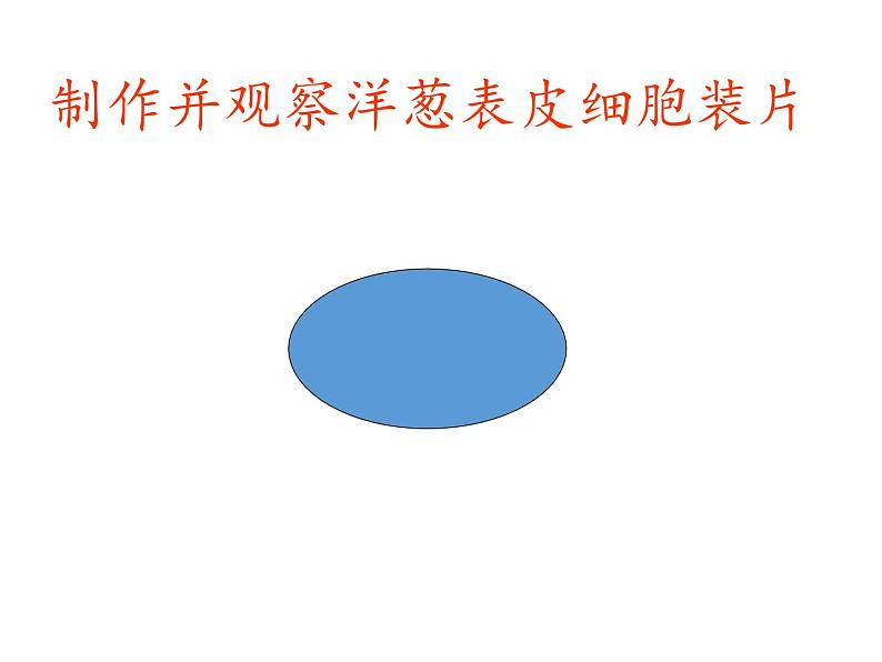 苏教版 六年级科学上册 1.4 搭建生命体的“积木”  教学课件第7页