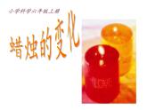 苏教版 六年级科学上册 3.1 蜡烛的变化  教学课件