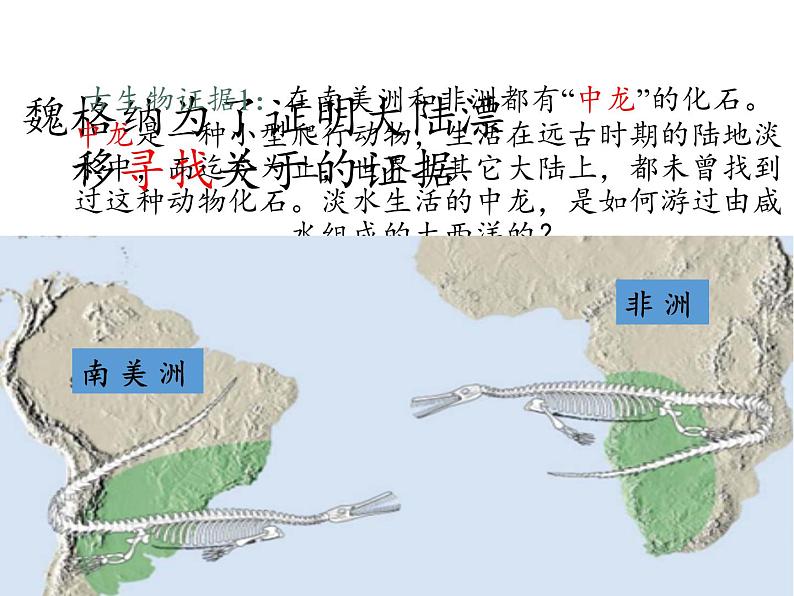 苏教版 六年级科学上册 5.1 假设  教学课件08