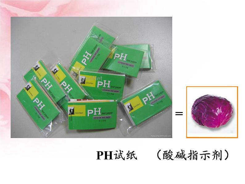 苏教版 六年级科学上册 3.3 变色花  教学课件第4页