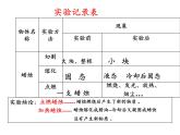 苏教版 六年级科学上册 3.1 蜡烛的变化 教学课件（13张PPT）