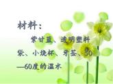 六年级科学上册教学课件-3.3 变色花3-苏教版