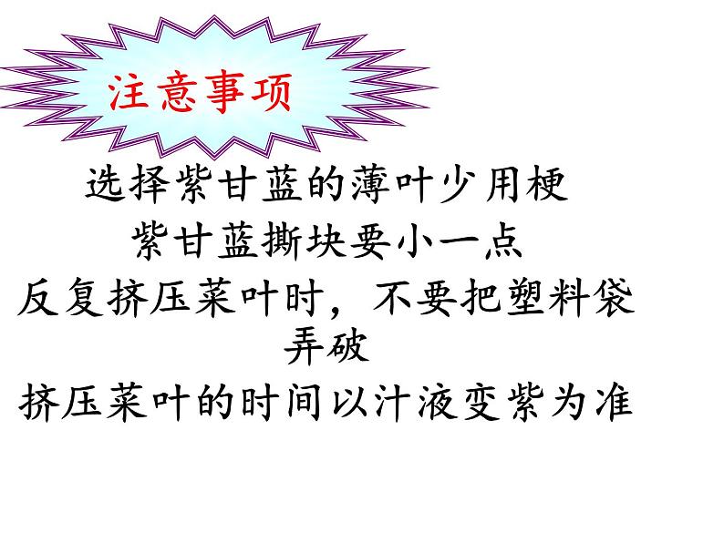 六年级科学上册教学课件-3.3 变色花3-苏教版第7页