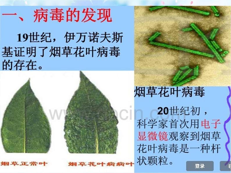 青岛版 (六三制)  六年级上册 第一单元 微小的生物  1、 病毒课件PPT第8页