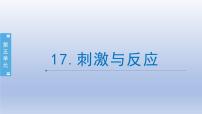 小学科学苏教版 (2017)五年级上册17 刺激与反应备课课件ppt