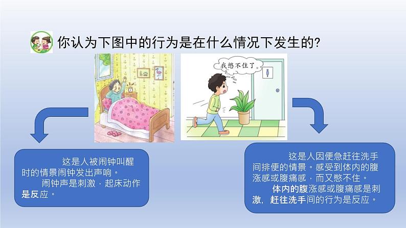 小学科学苏教版五年级上册第五单元第17课《刺激与反应》课件（10张PPT）02