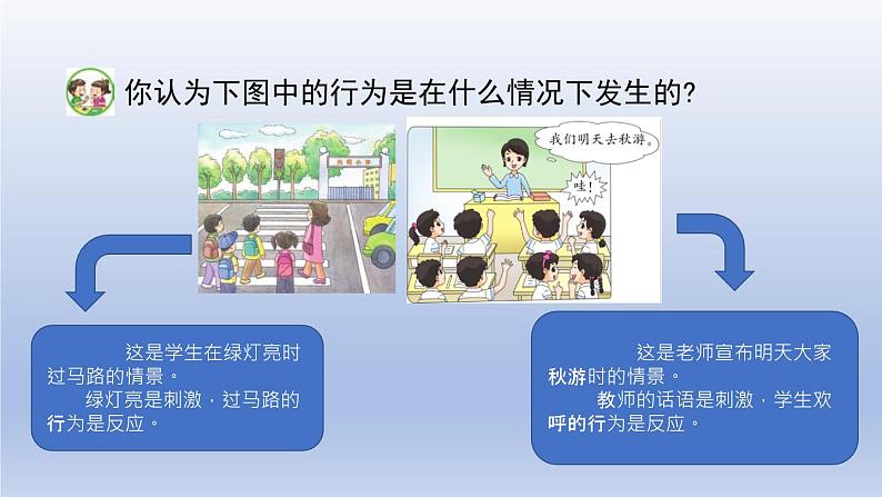 小学科学苏教版五年级上册第五单元第17课《刺激与反应》课件（10张PPT）03