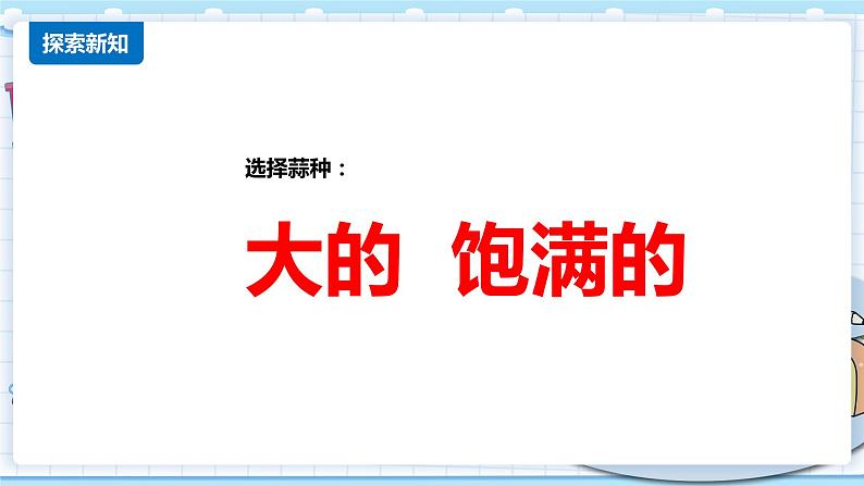 新青岛版科学二年级上册 9.种大蒜 PPT课件04