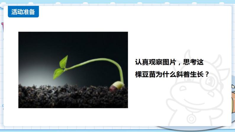 新青岛版科学二年级上册 10.植物和阳光 PPT课件02