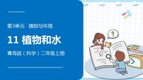 小学科学青岛版 (六三制2017)二年级上册11 植物和水图文ppt课件